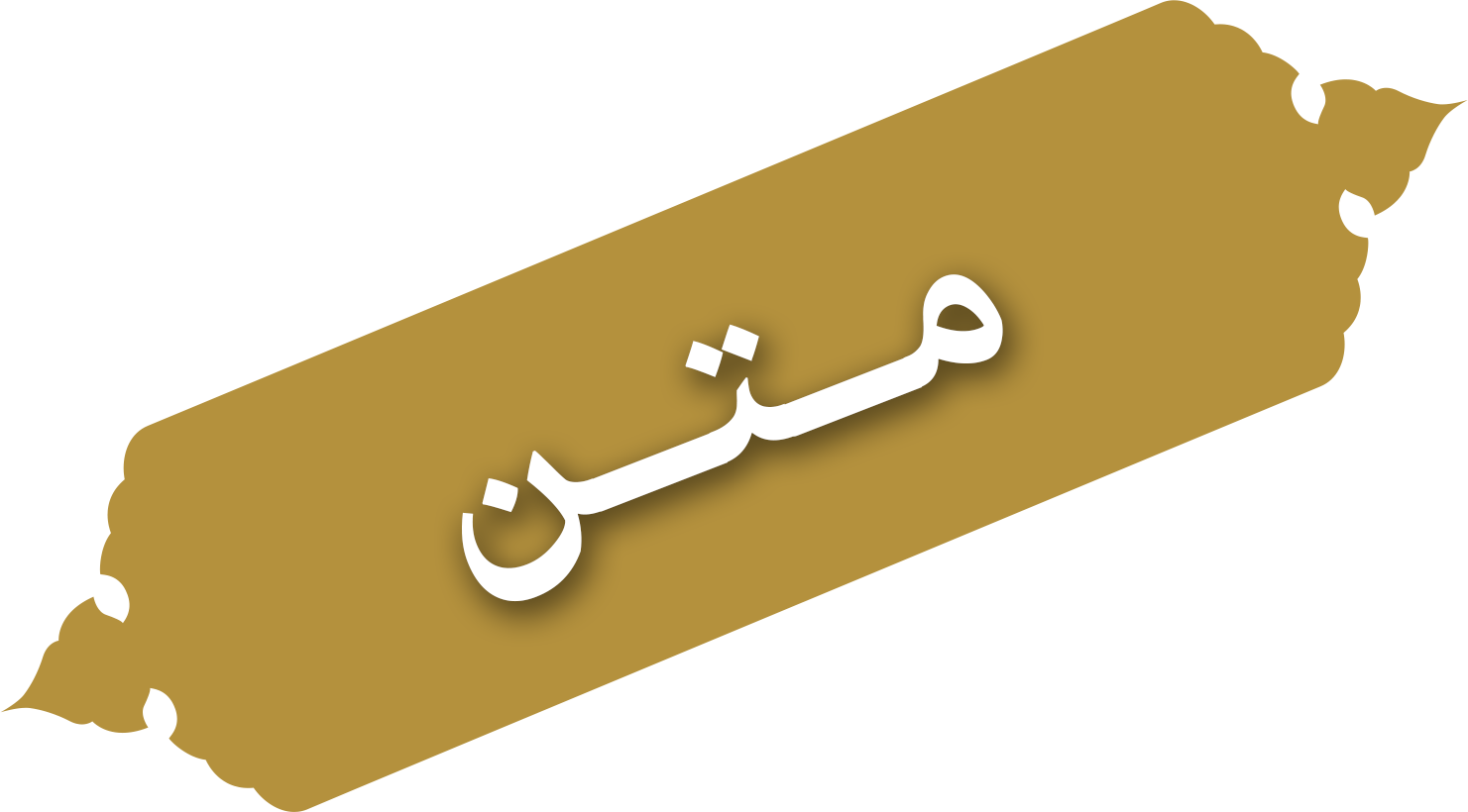 متن